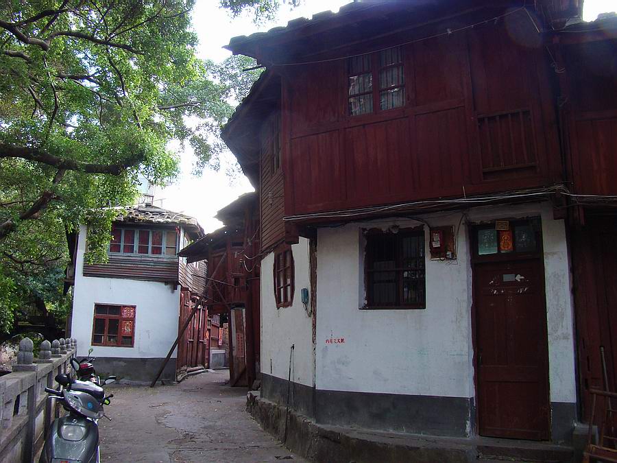 DSC06223.jpg