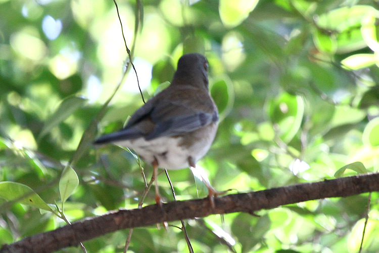 2010_12_17_0210.jpg