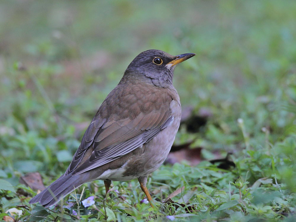 DPP_49711.jpg