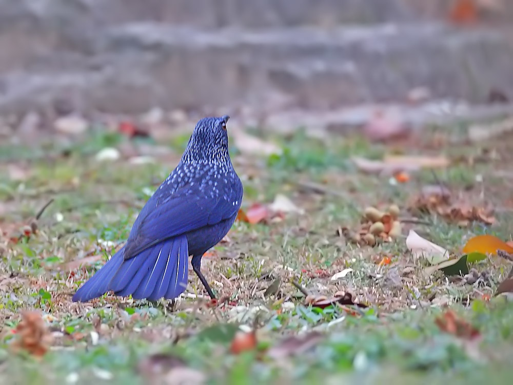 DPP_50181.jpg