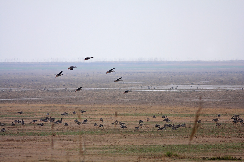 -20100227ϲɽ-_36.JPG