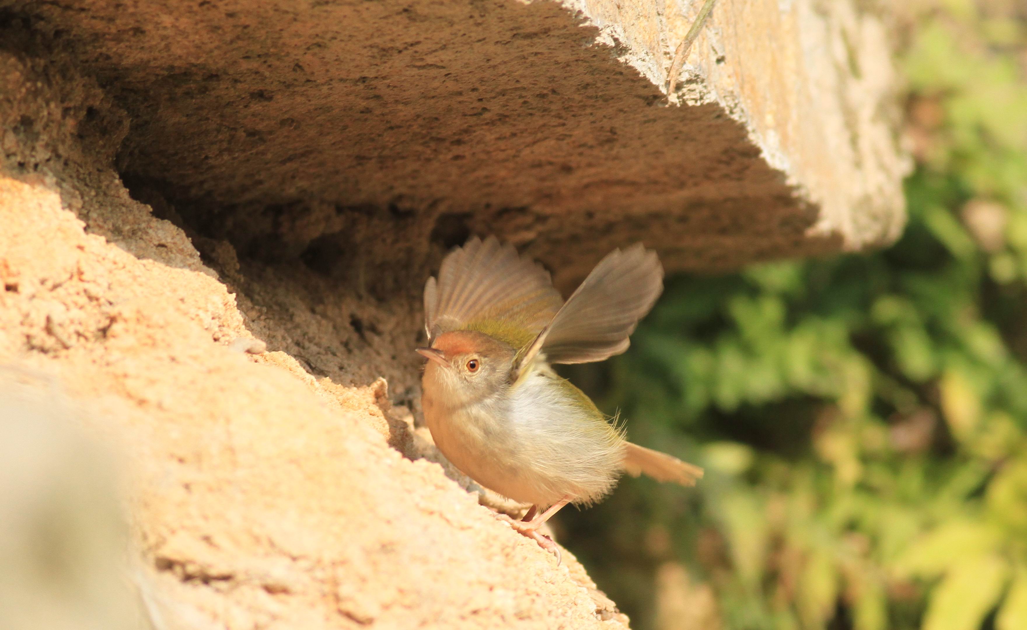 aIMG_00370.jpg