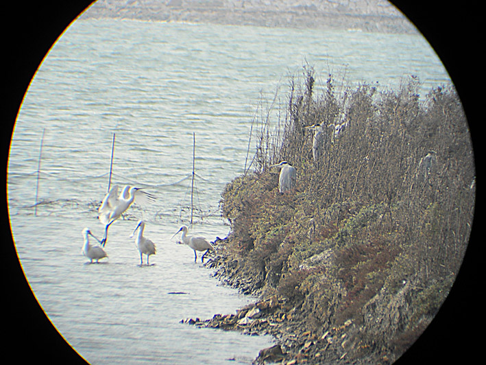 DSCF8523.jpg