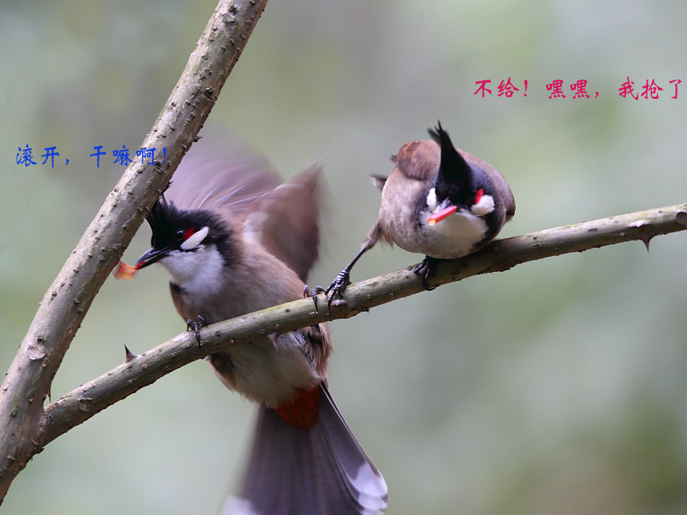 DPP_0283－1.jpg