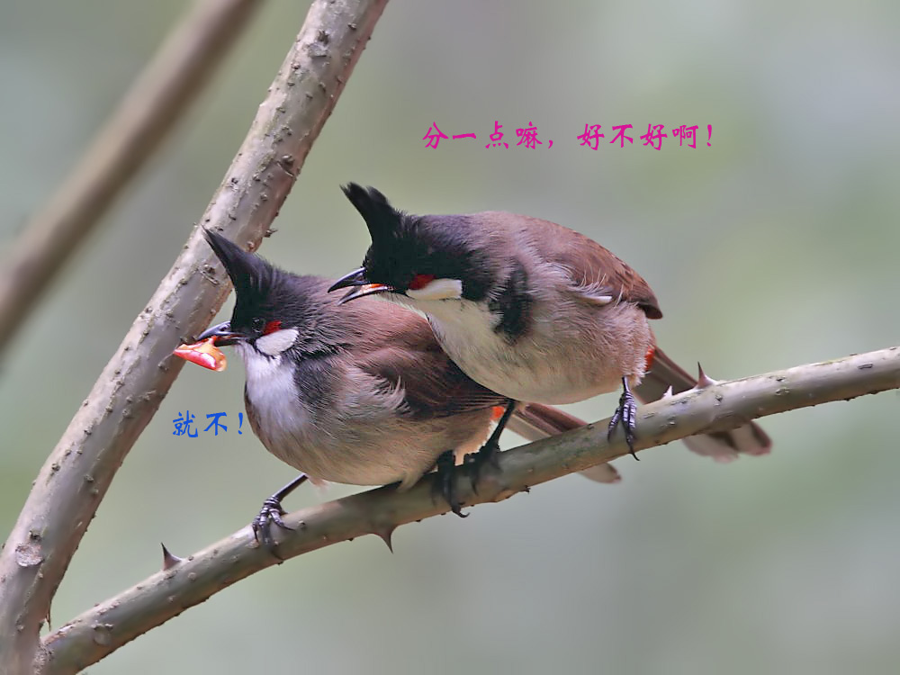 DPP_0282－3.jpg