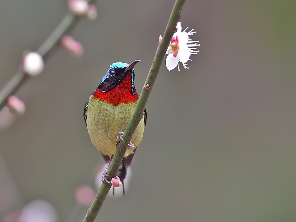 DPP_03491.jpg