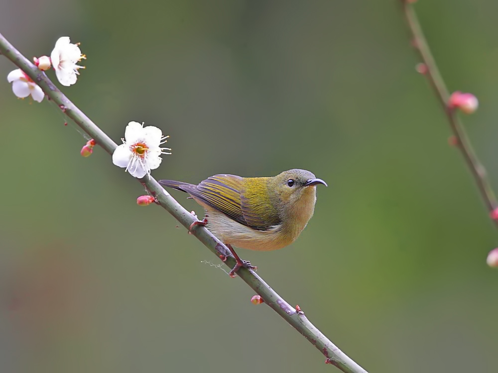 DPP_03481.jpg