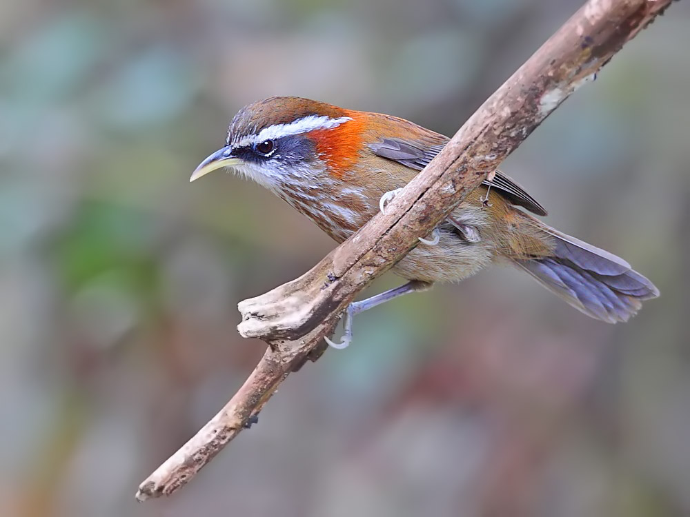 DPP_03471.jpg
