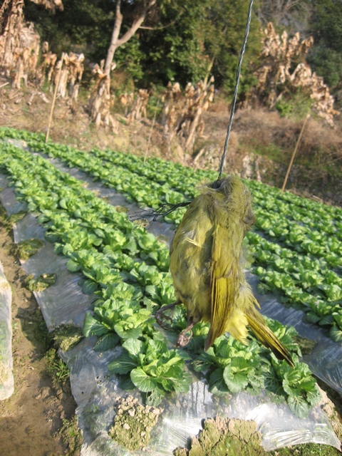 2011.2.4.β 024.jpg
