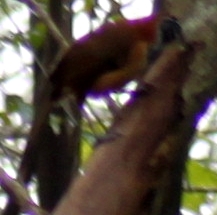 IMG_54391.jpg