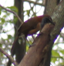 IMG_54401.jpg