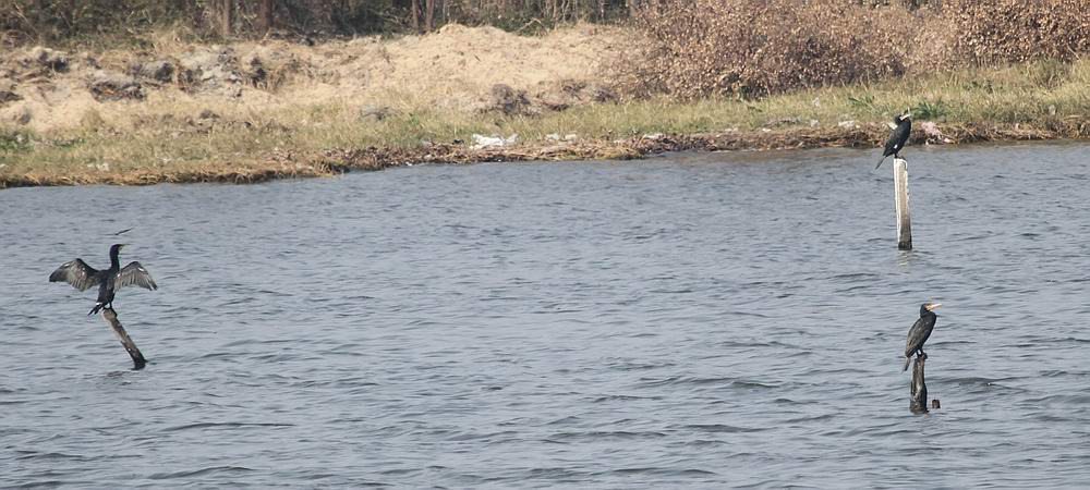 IMG_1267.jpg