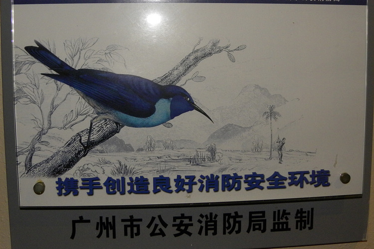 DSCN0589a.jpg