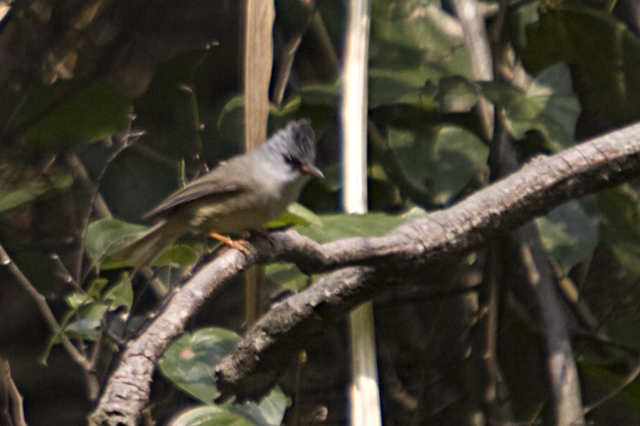 01ڶ900.jpg