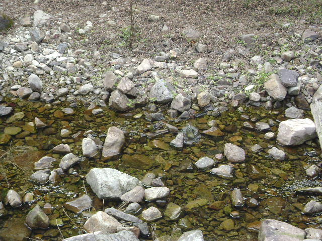 DSC04606.JPG