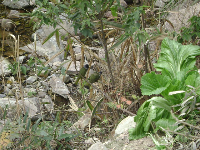 DSC04604.JPG