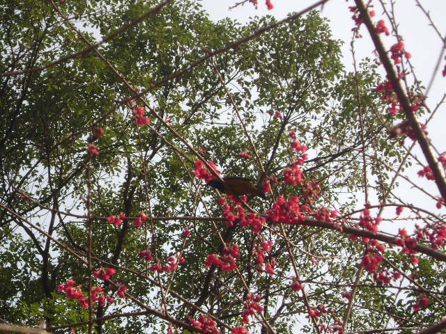 DSC04569.JPG