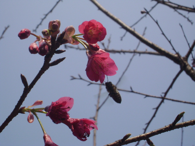DSC04545.JPG
