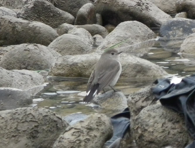 DSCF2884.JPG