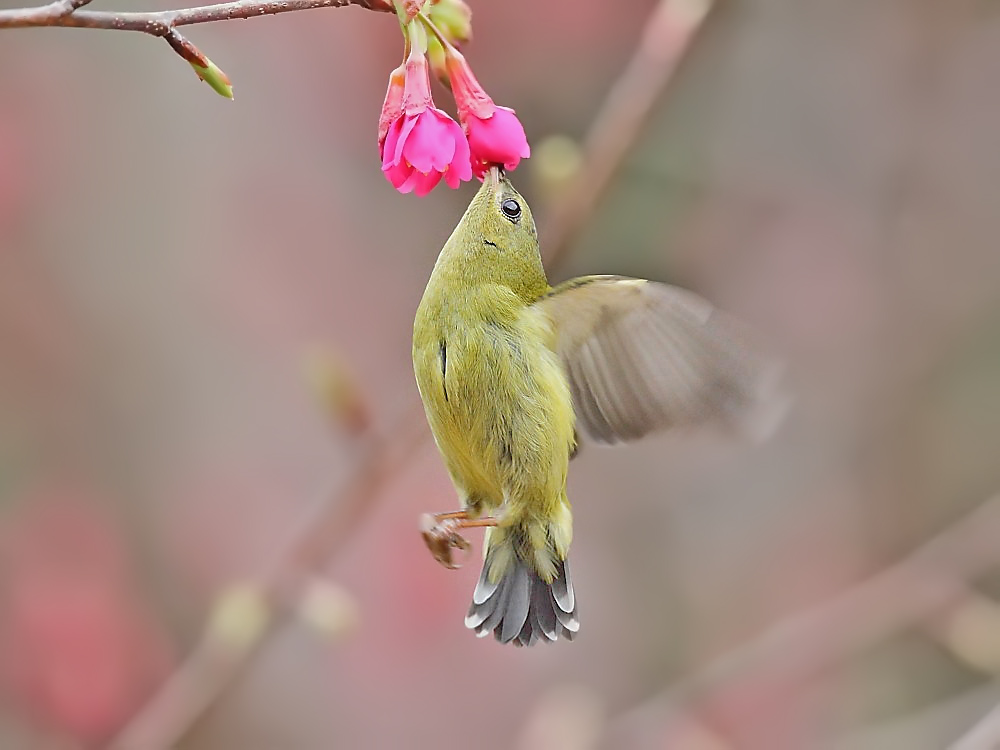 DPP_04481.jpg