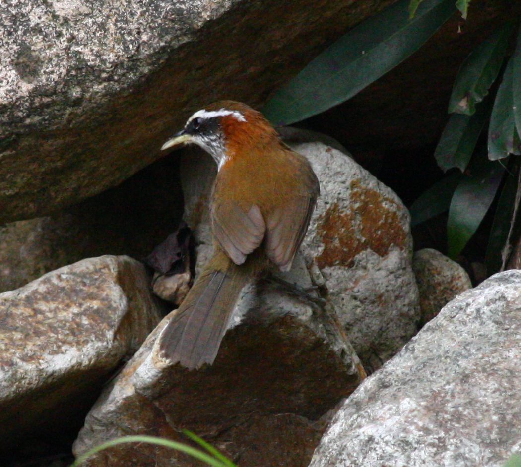IMG_0026-ؾ.jpg