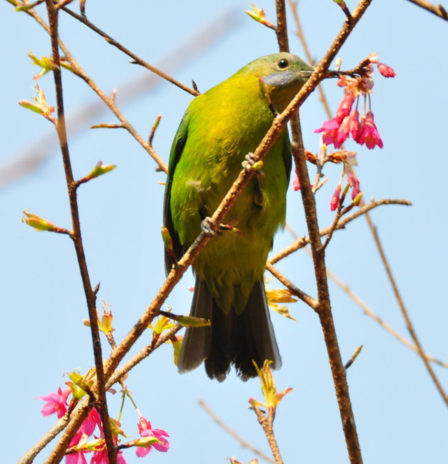 DSC_3817.jpg