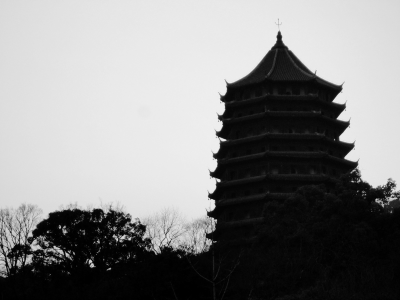 DSC00888-1-1.jpg