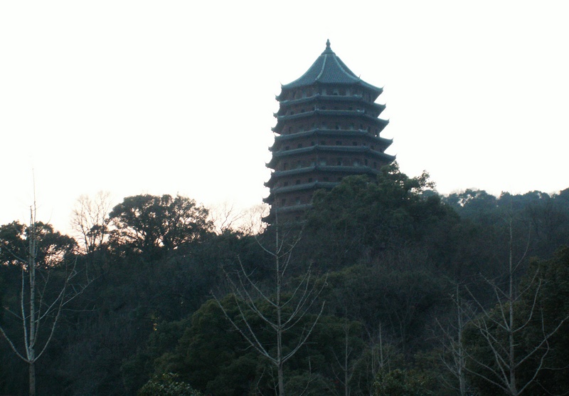 PICT3314-1-1.jpg