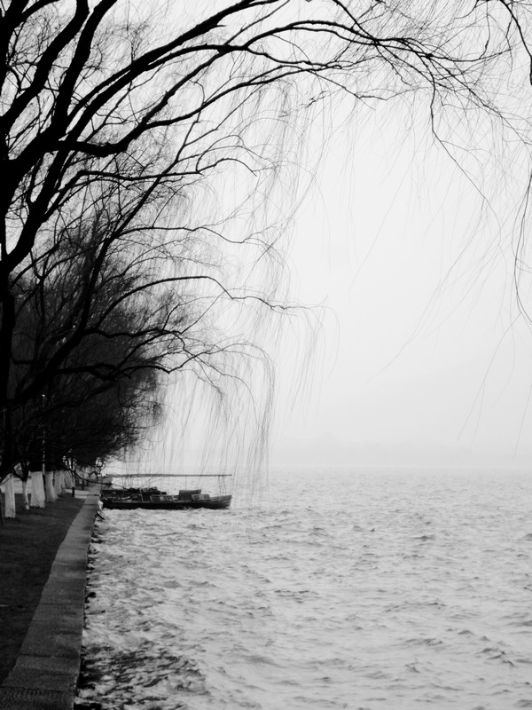 DSC00902-1-1.jpg