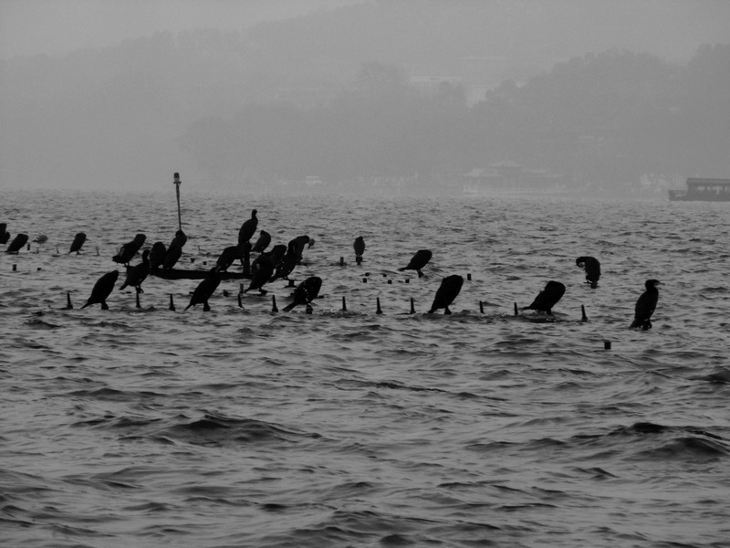 PICT3321-1-1.jpg