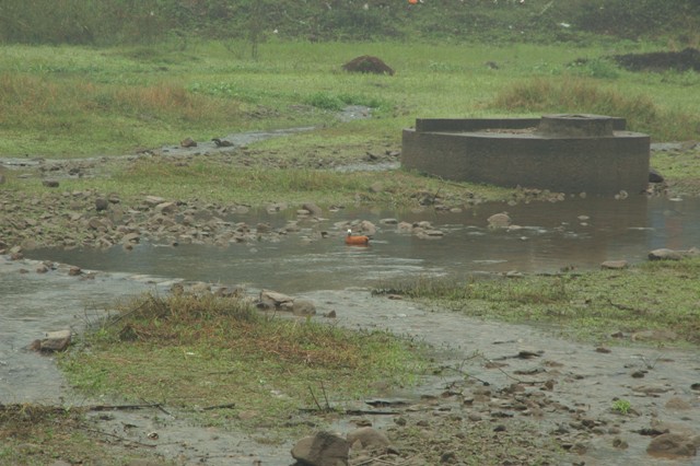 DSC_830523.jpg