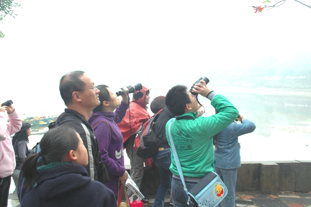 DSC_830519.jpg