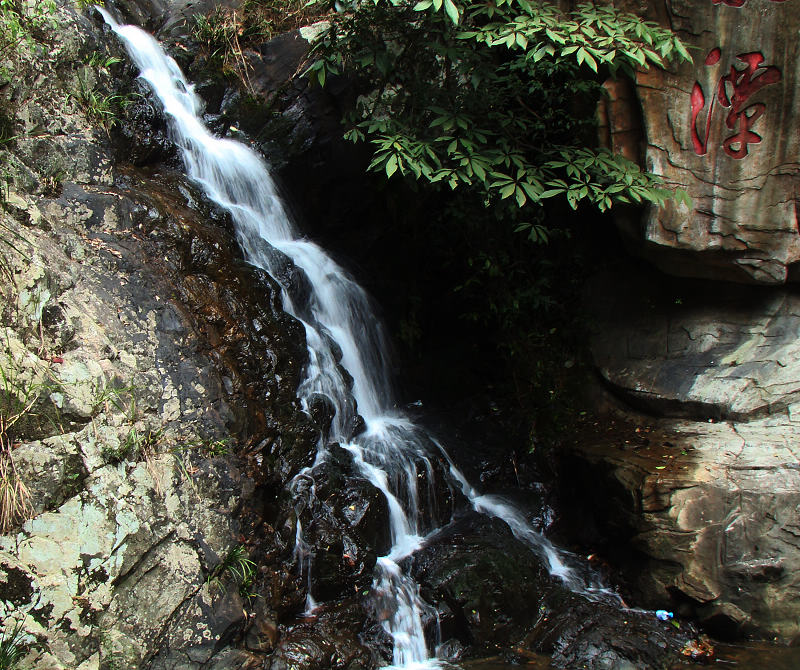 DSC07066.JPG