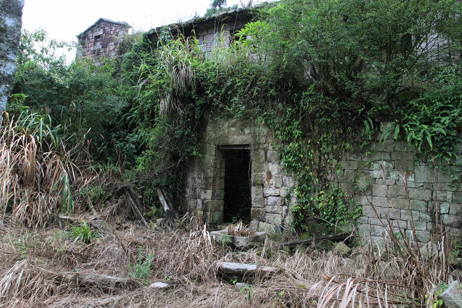a071.JPG