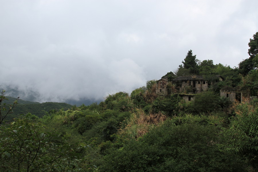 a069.JPG