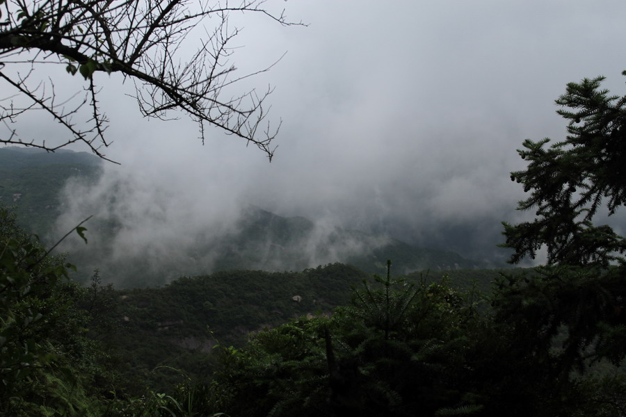 a062.JPG