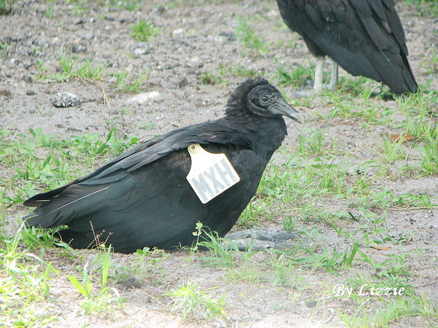 nEO_IMG_IMG_84240.jpg