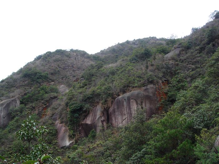 DSC00783.jpg