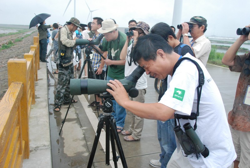 观3.jpg