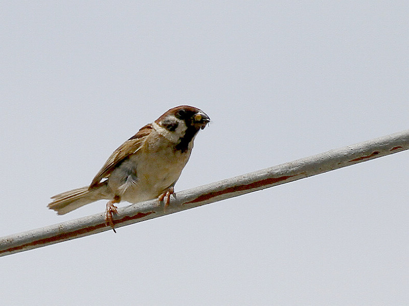 2011.08.28 059.jpg