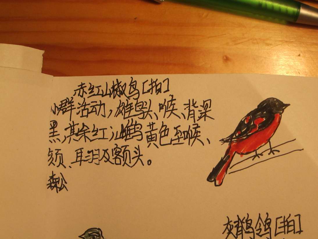 赤红.jpg