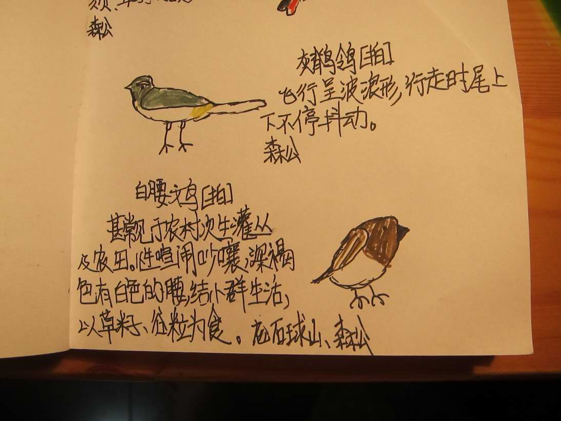 灰.jpg