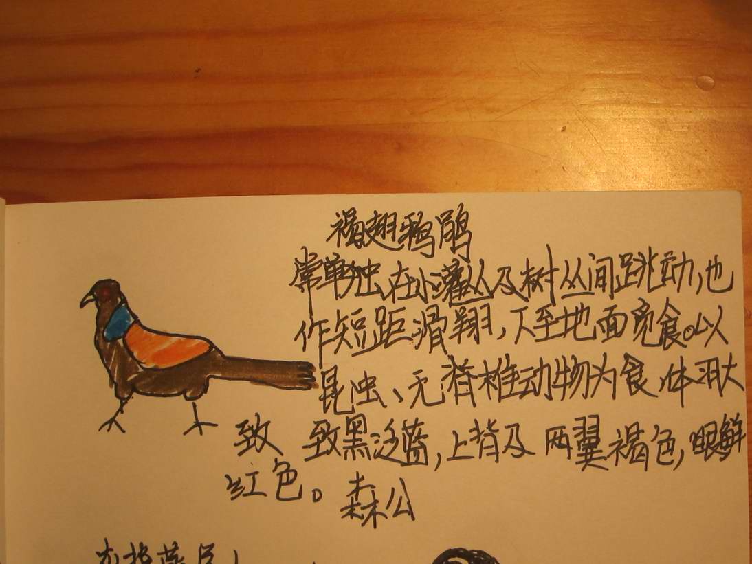 褐色.jpg
