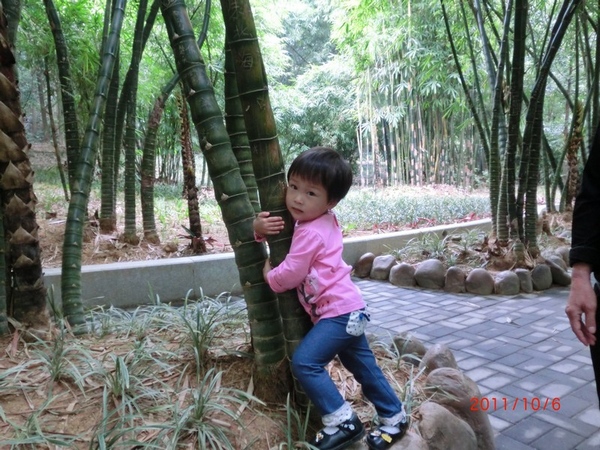 nEO_IMG_CIMG1590.jpg