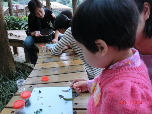 nEO_IMG_CIMG1570.jpg