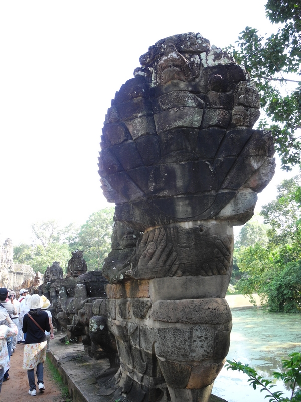 DSCN0595.JPG