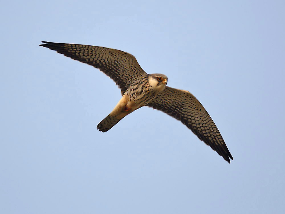 DPP_2381－3.jpg