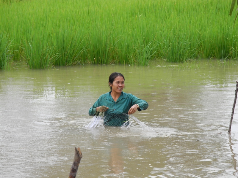 DSCN1212.JPG