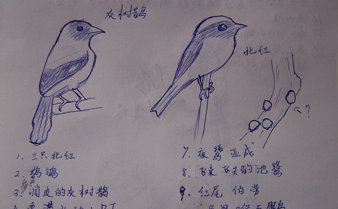 手绘2.jpg