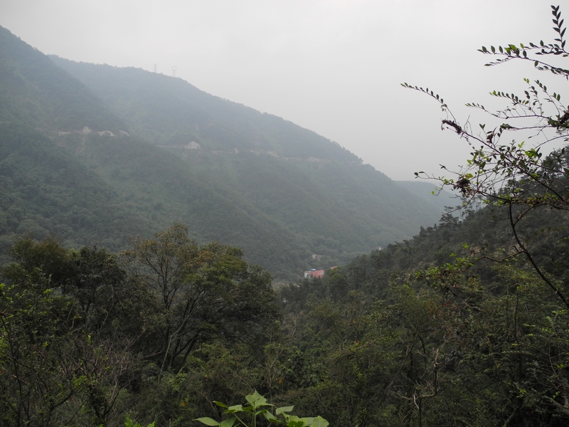 DSCN2062.JPG
